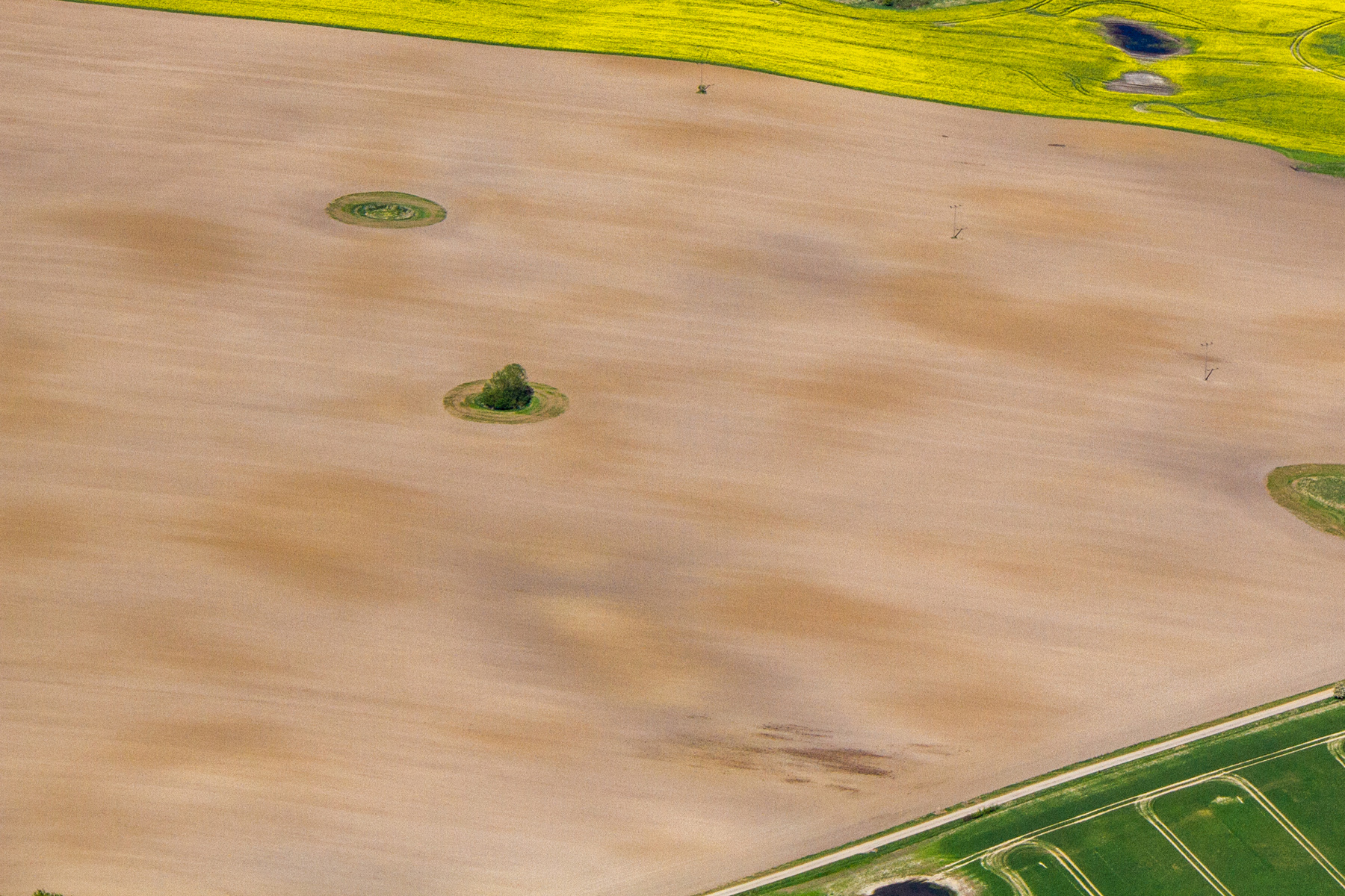 Landwirtschaft Mecklenburg-Vorpommern