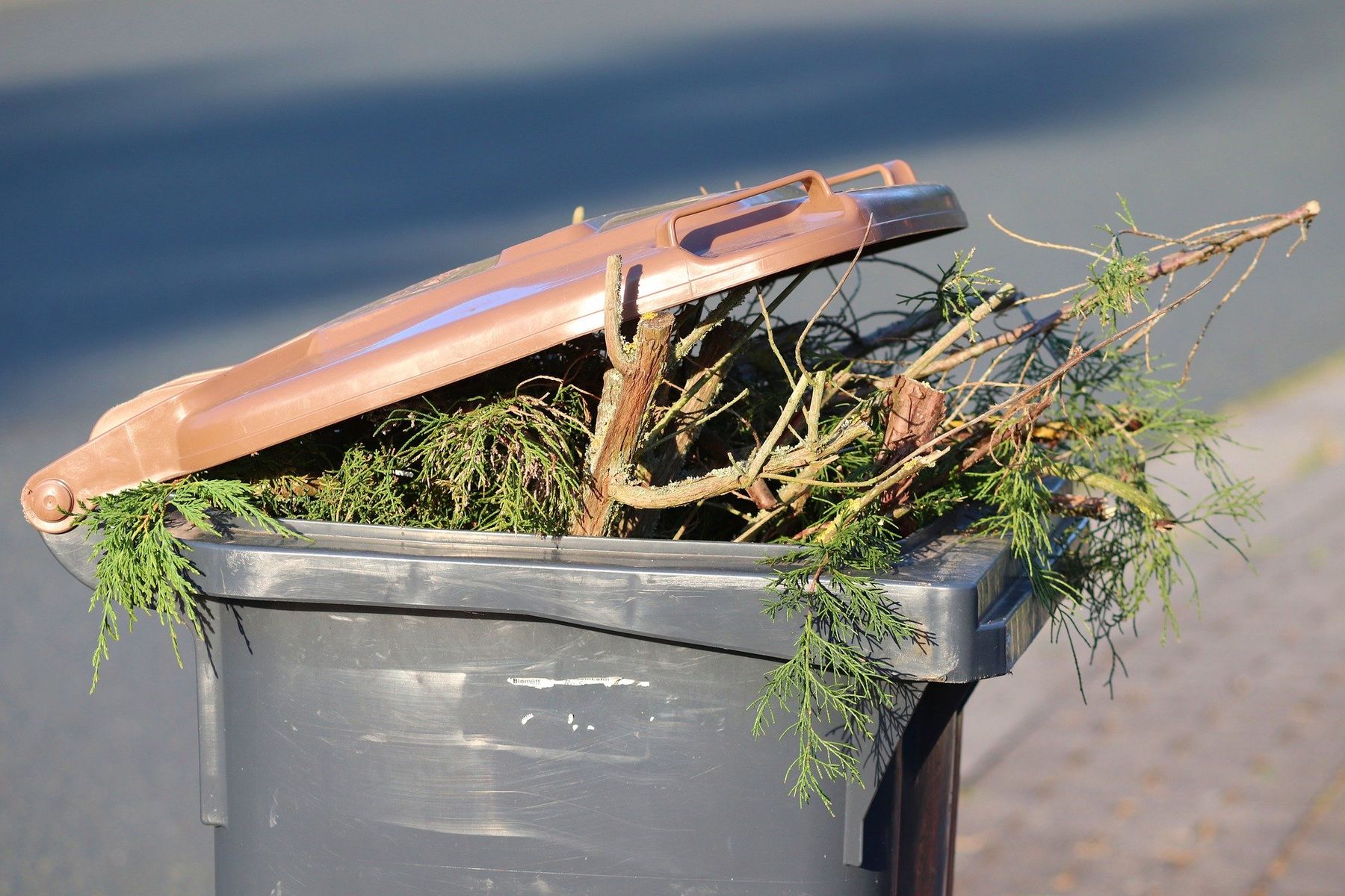 Abfallwirtschaft Mecklenburgische Seenplatte