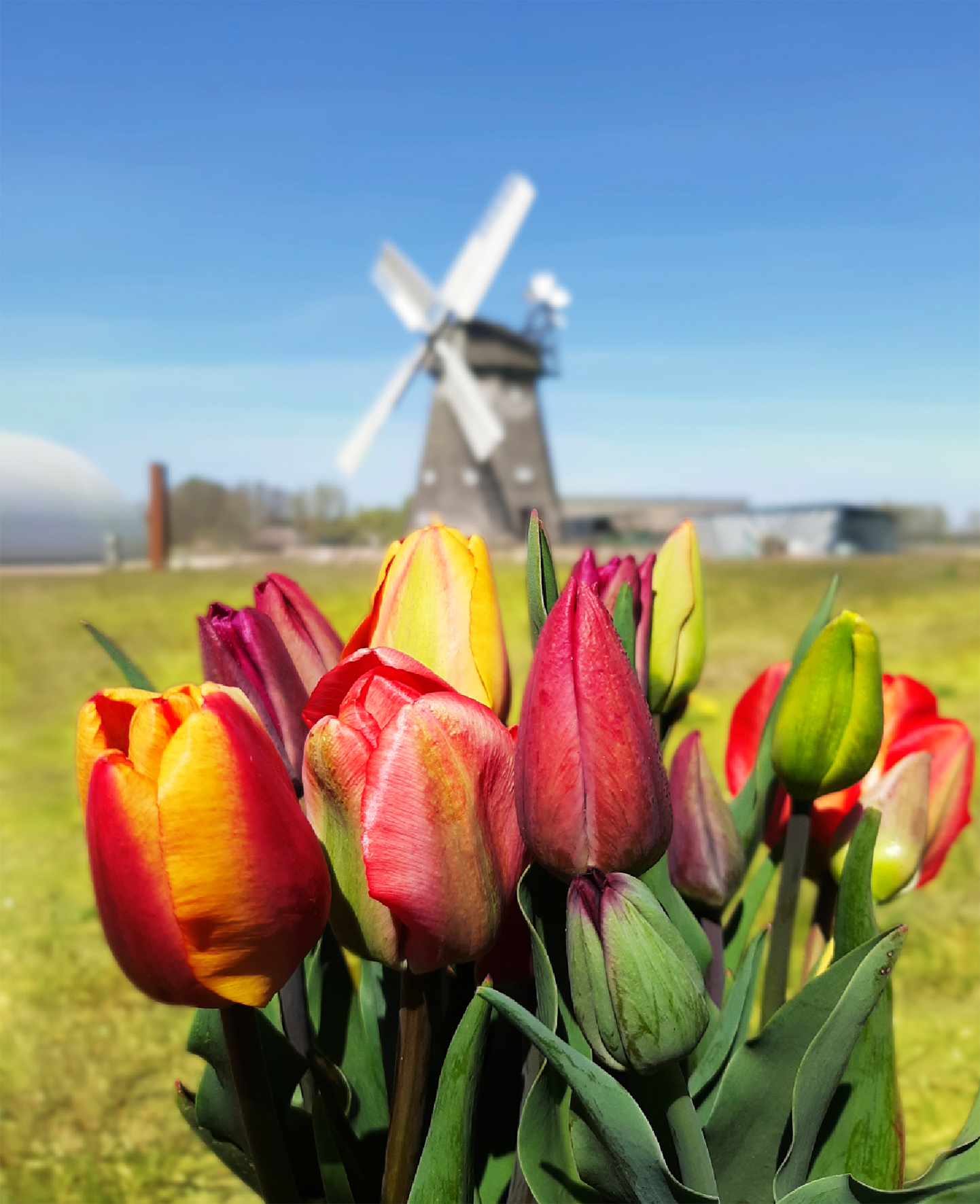 Öffnungszeiten AGRONEUM Alt Schwerin