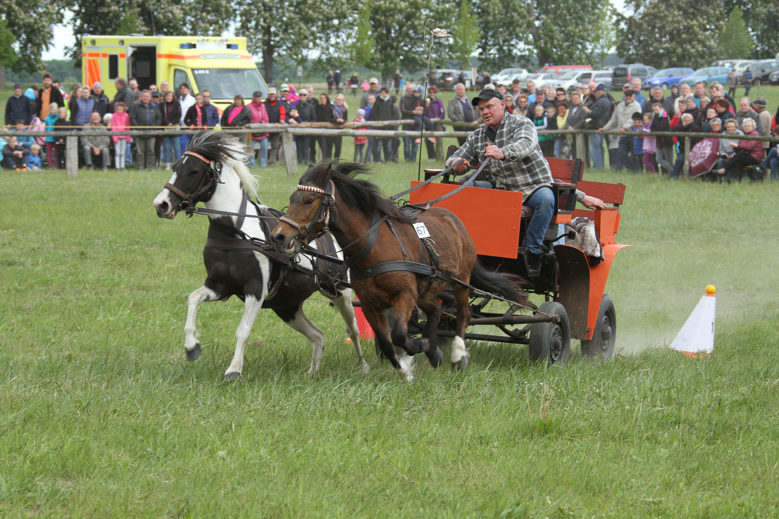 Ponysportverein Röbel/Müritz e.V.