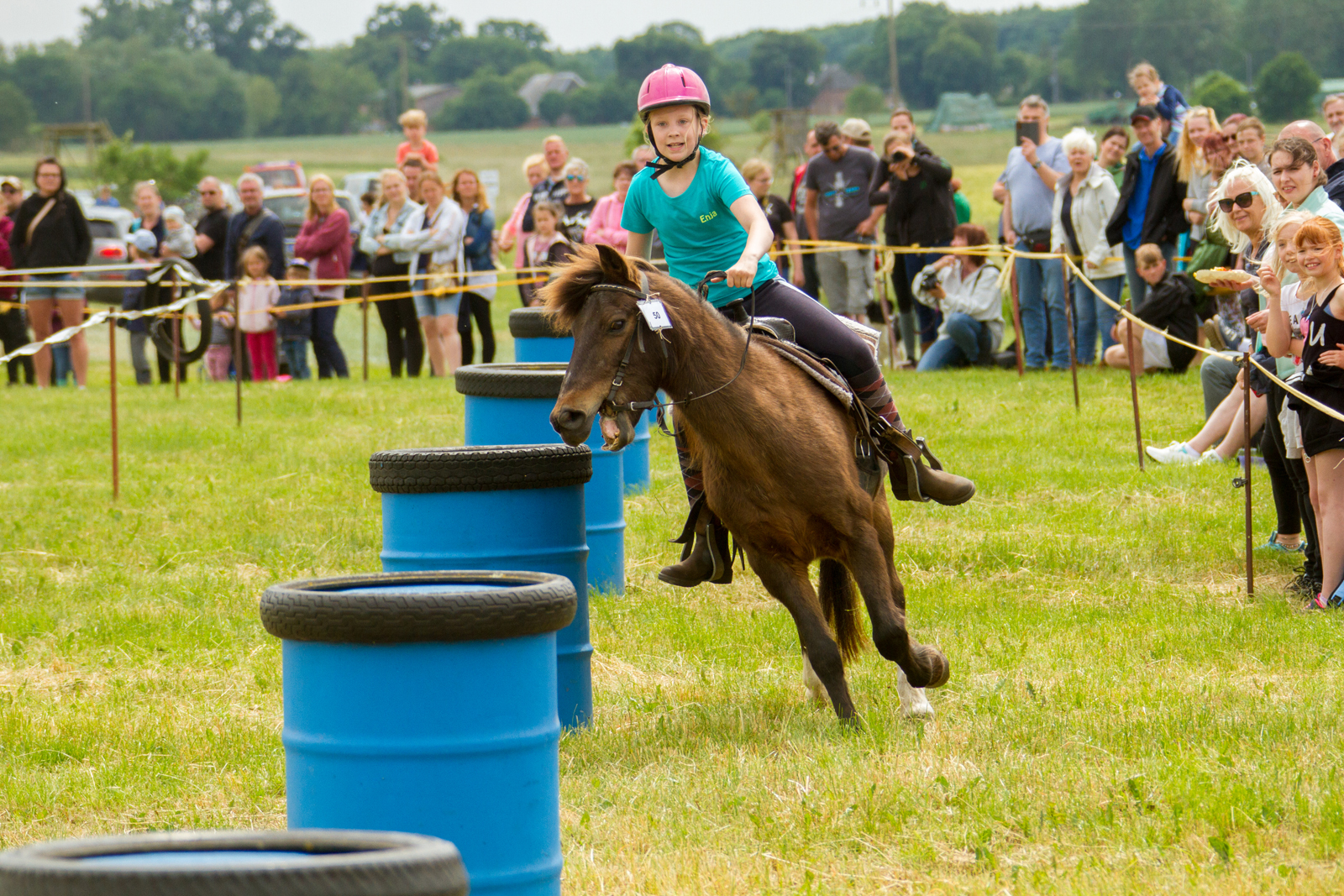 Ponysportverein Röbel/Müritz e V.