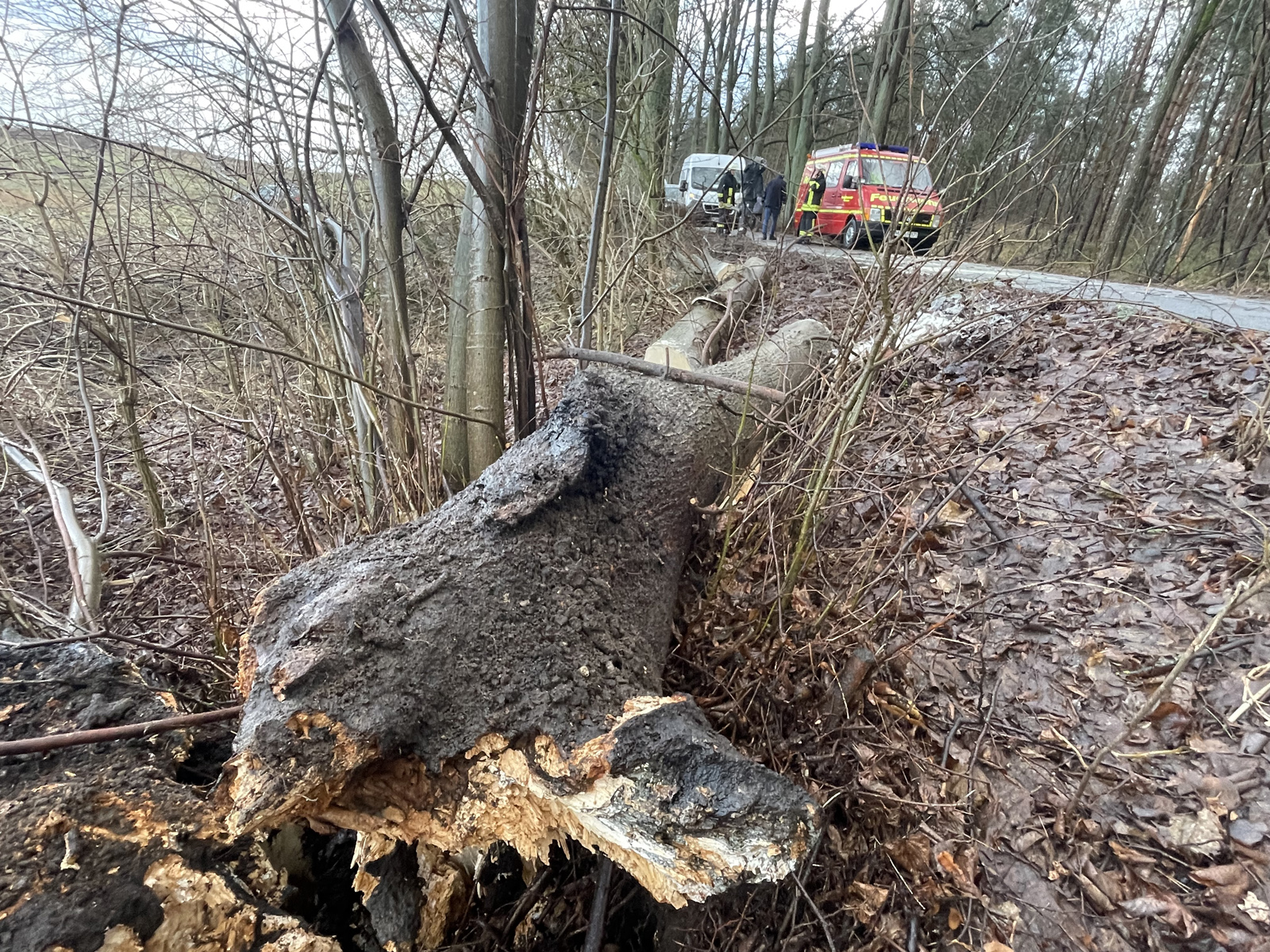 Feuerwehreinsätze nach Sturm Mecklenburgische Seenplatte