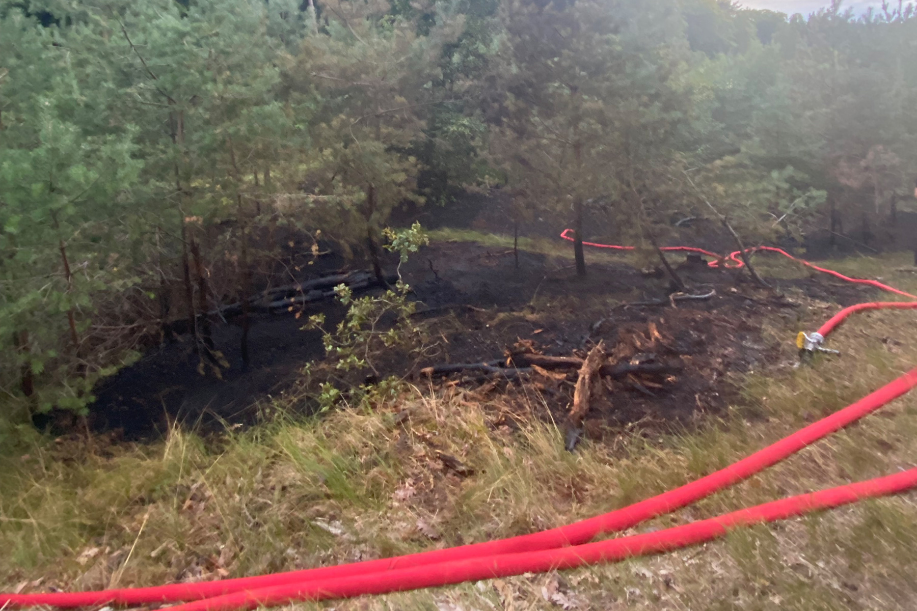 Waldbrandwarnstufen Mecklenburg-Vorpommern