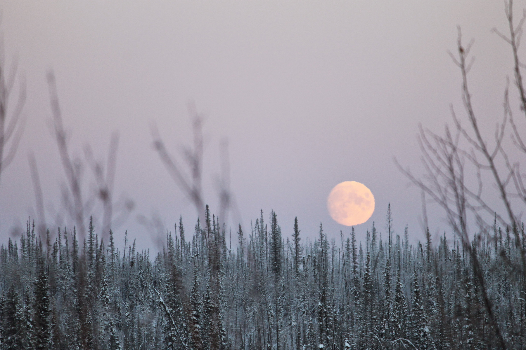 Wann ist Vollmond?