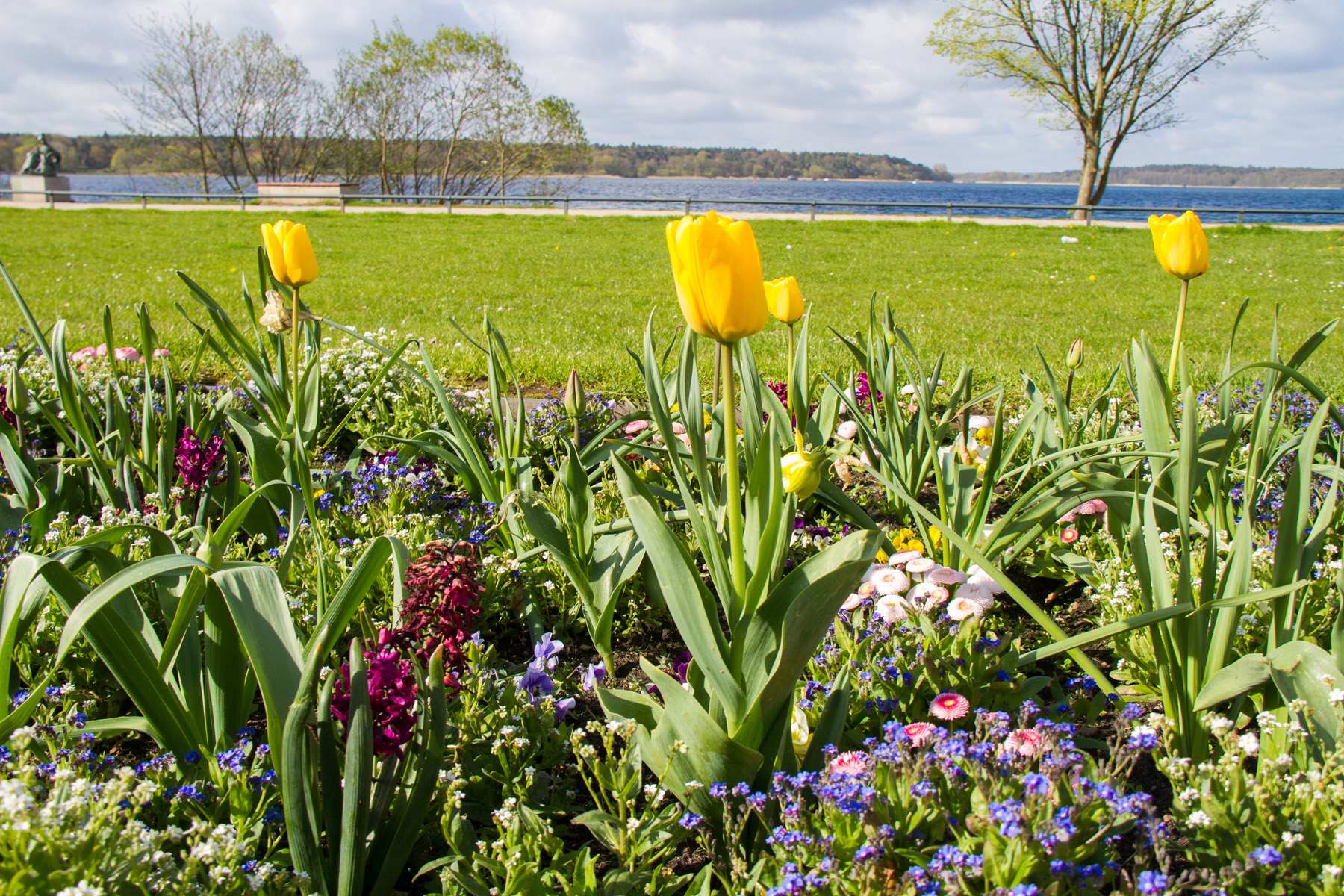 Ausflug Heilbad Waren (Müritz)