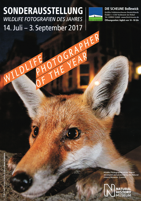 Wildlife Fotografie